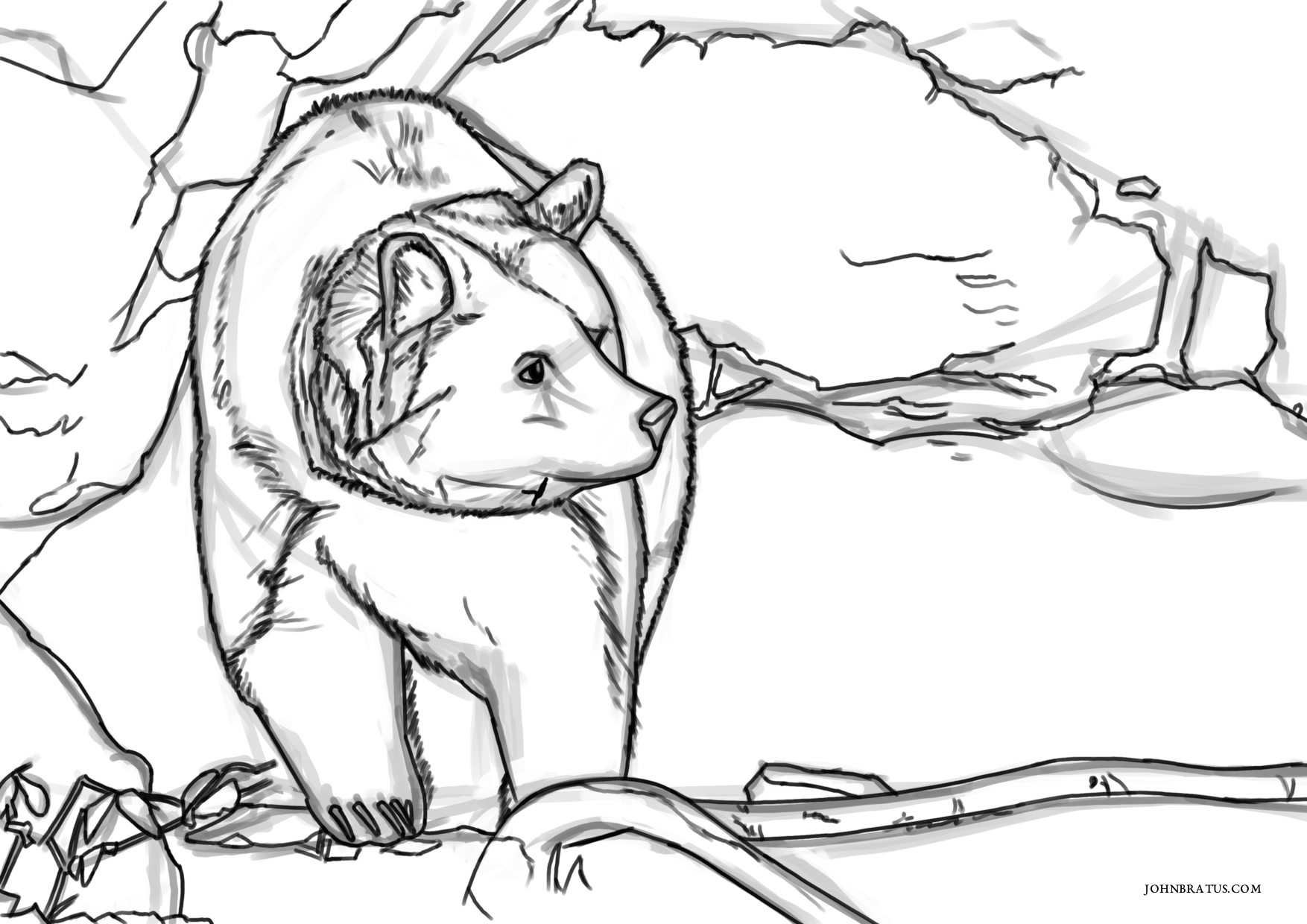 Digital sketch of a brown bear roaming outside his cave